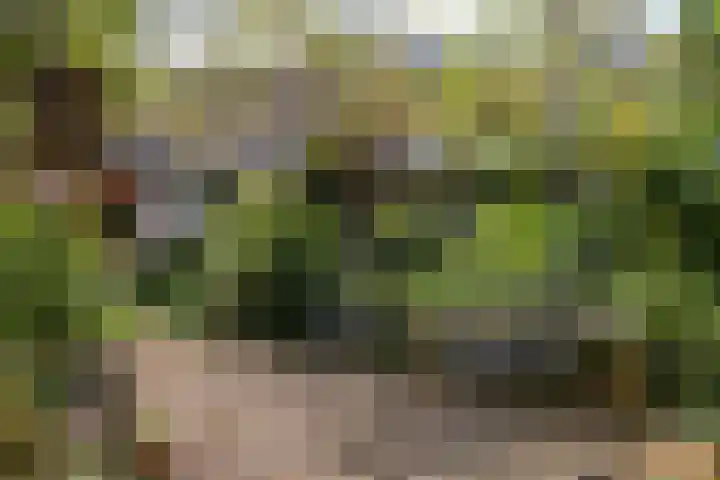 Nieuwe Koekoekstraat 59 Utrecht thumbnail 48