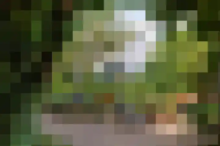 Nieuwe Koekoekstraat 59 Utrecht thumbnail 5