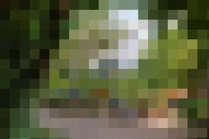 Nieuwe Koekoekstraat 59 Utrecht thumbnail 52
