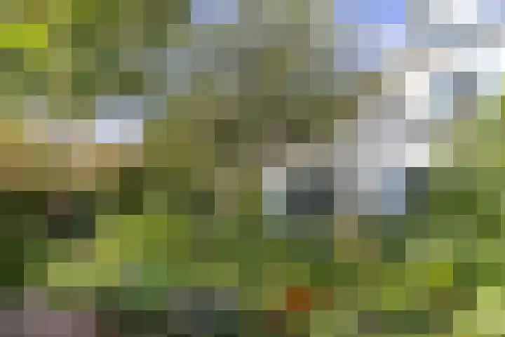 Nieuwe Koekoekstraat 59 Utrecht thumbnail 53