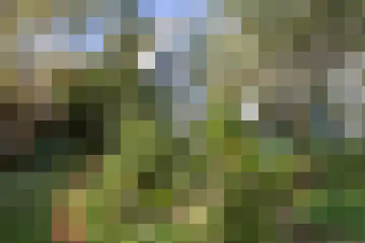Nieuwe Koekoekstraat 59 Utrecht thumbnail 54