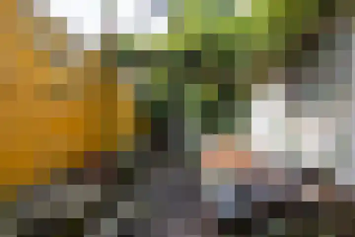 Nieuwe Koekoekstraat 59 Utrecht thumbnail 58