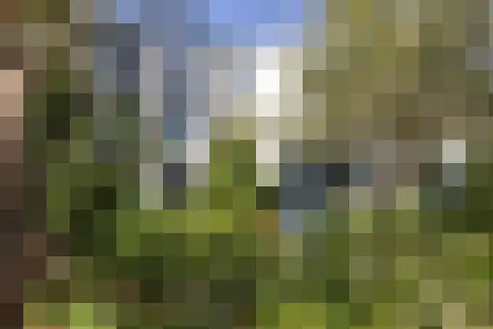 Nieuwe Koekoekstraat 59 Utrecht thumbnail 63
