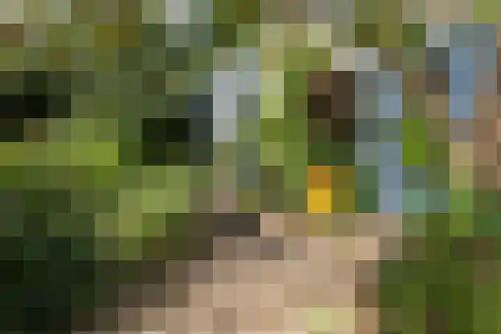 Nieuwe Koekoekstraat 59 Utrecht thumbnail 65