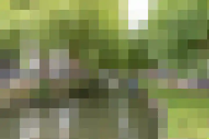 Nieuwe Koekoekstraat 59 Utrecht thumbnail 73