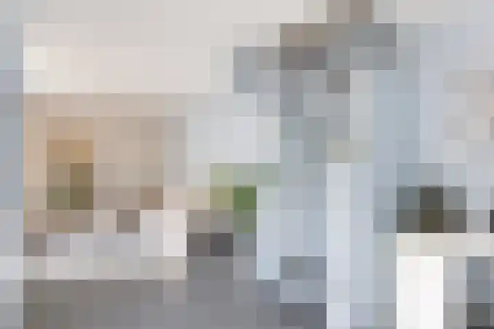 Nieuwe Koekoekstraat 59 Utrecht thumbnail 9