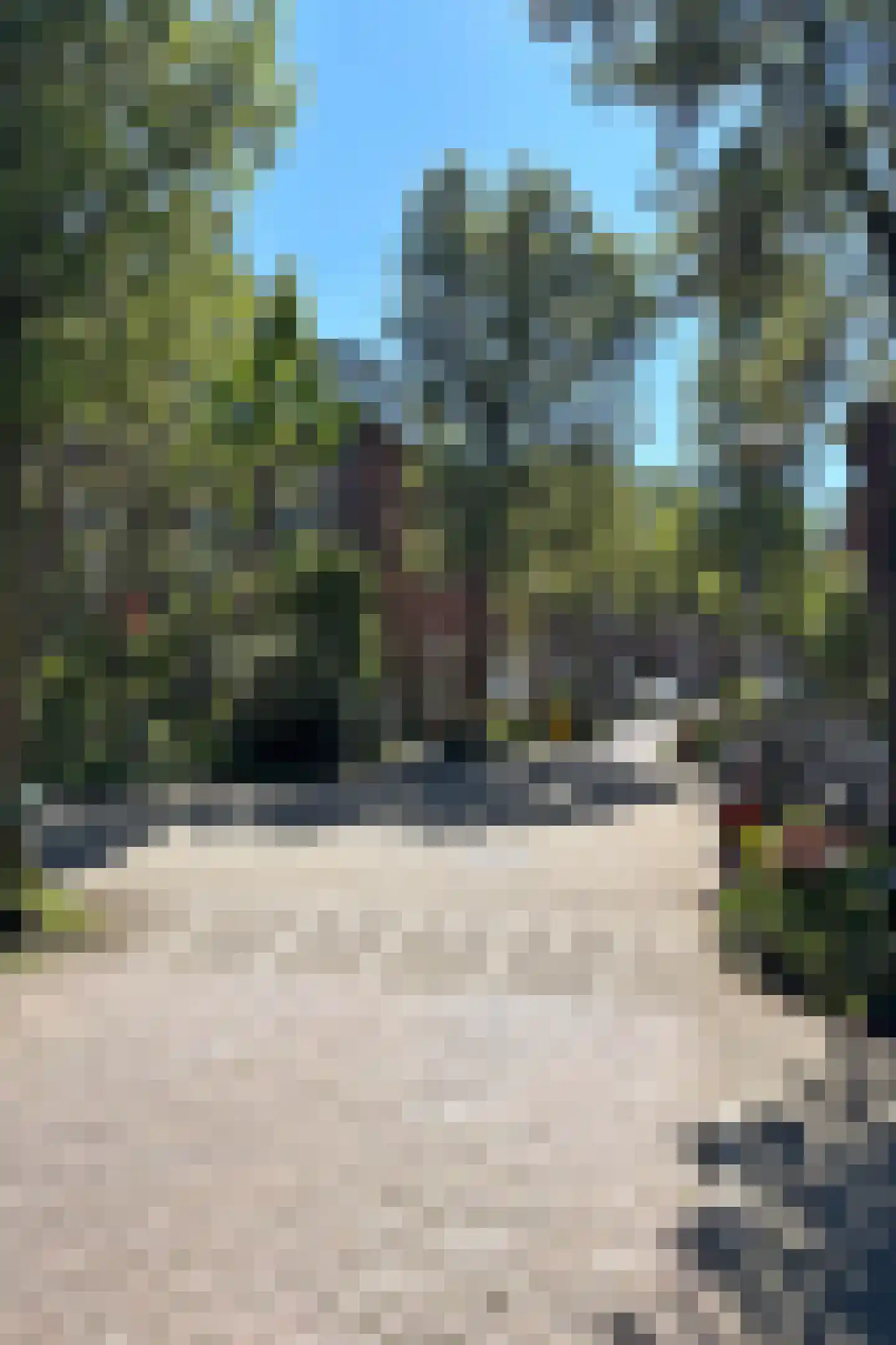 Nieuwe Koekoekstraat 64 Utrecht thumbnail 30