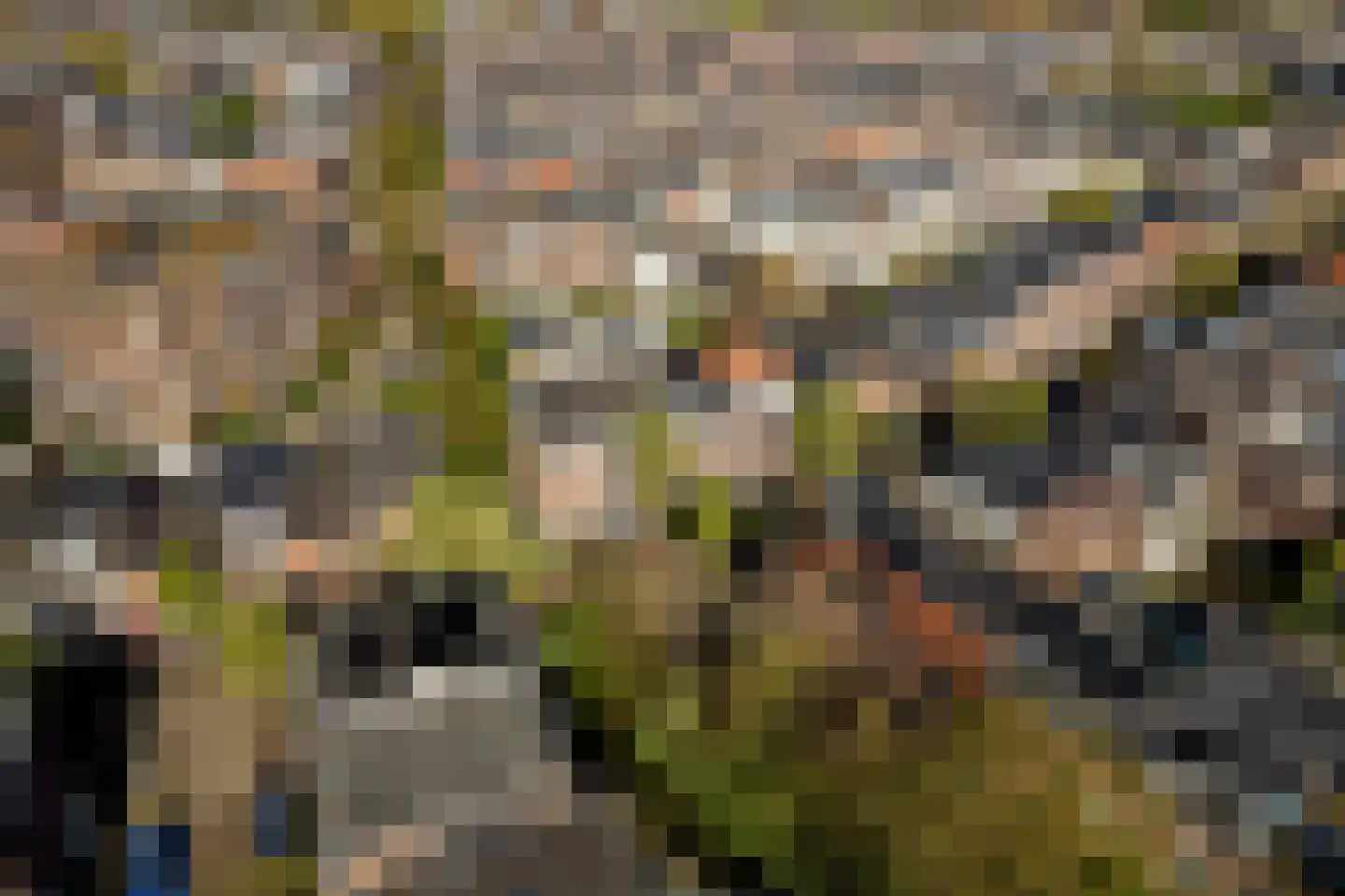 Nieuwe Koekoekstraat 64 Utrecht thumbnail 33