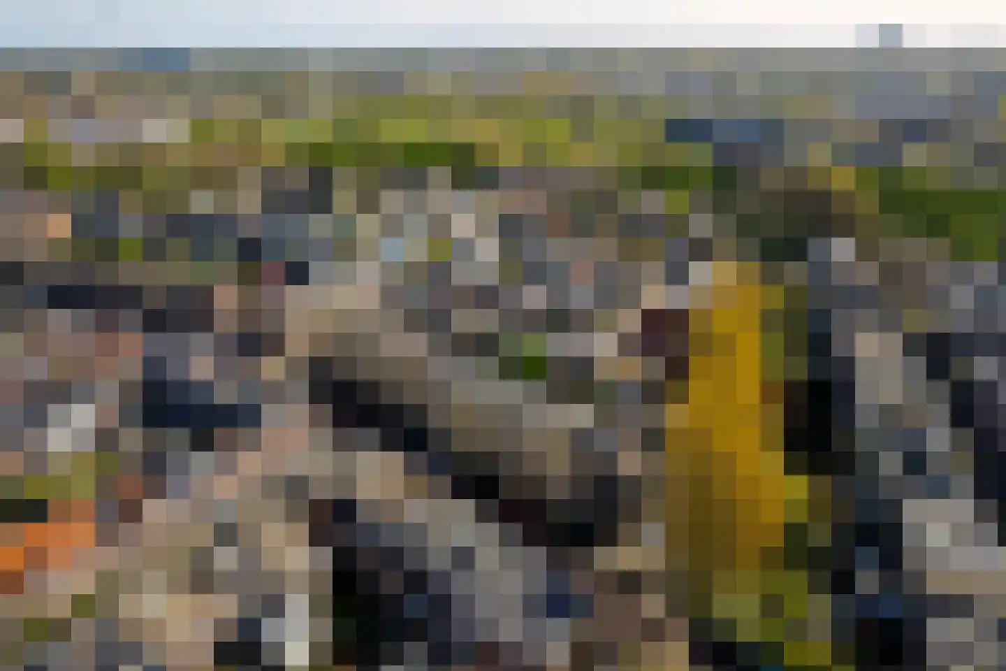 Nieuwe Koekoekstraat 64 Utrecht thumbnail 34