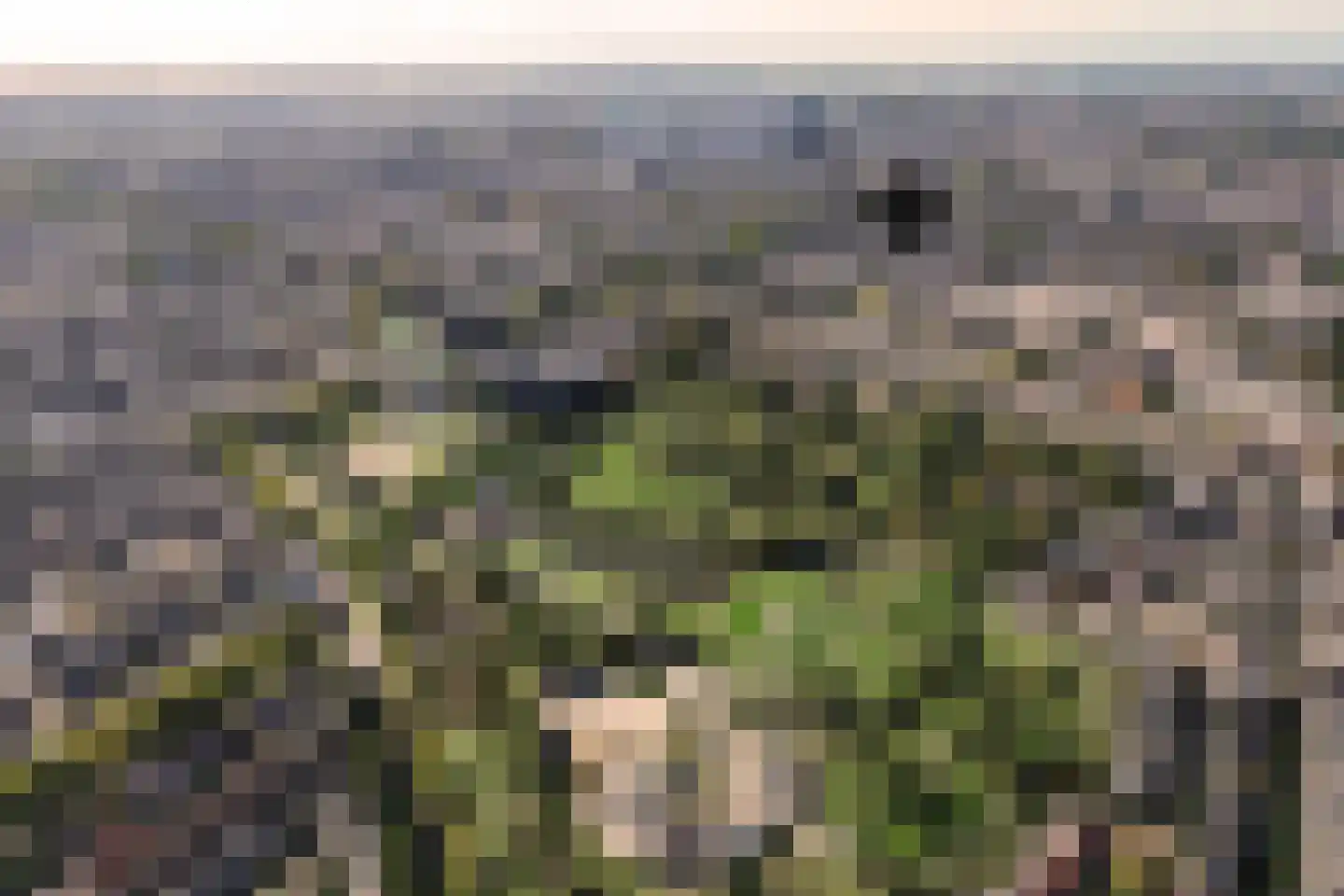 Nieuwe Koekoekstraat 64 Utrecht thumbnail 35