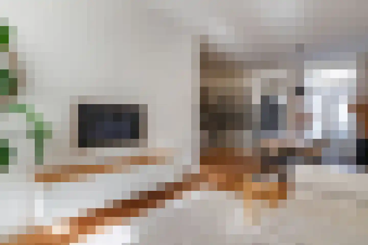 Nieuwe Koekoekstraat 64 Utrecht thumbnail 6