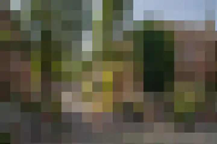 Nieuwe Koekoekstraat 66 BS Utrecht thumbnail 37