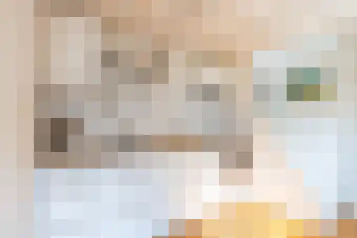 Nieuwe Koekoekstraat 66 Utrecht thumbnail 21