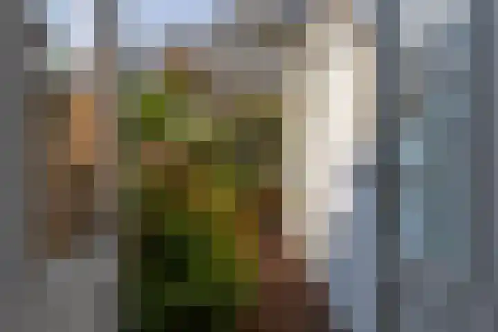 Nieuwe Koekoekstraat 66 Utrecht thumbnail 27