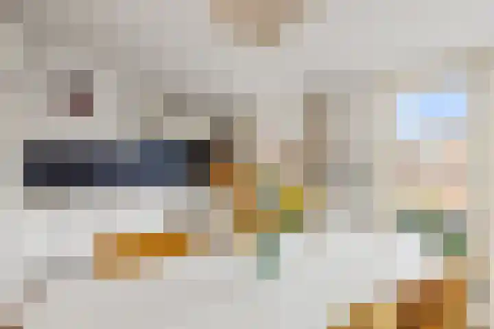 Nieuwe Koekoekstraat 66 Utrecht thumbnail 51