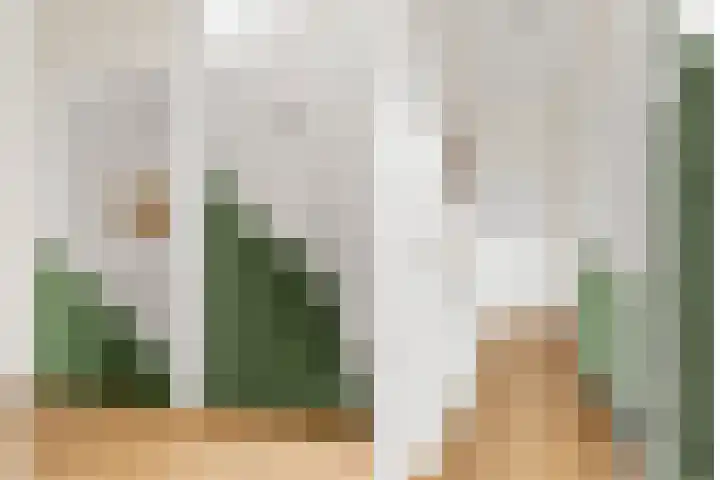 Nieuwe Koekoekstraat 66 Utrecht thumbnail 56