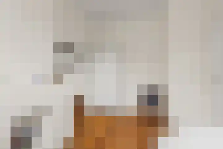 Nieuwe Koekoekstraat 66 Utrecht thumbnail 57