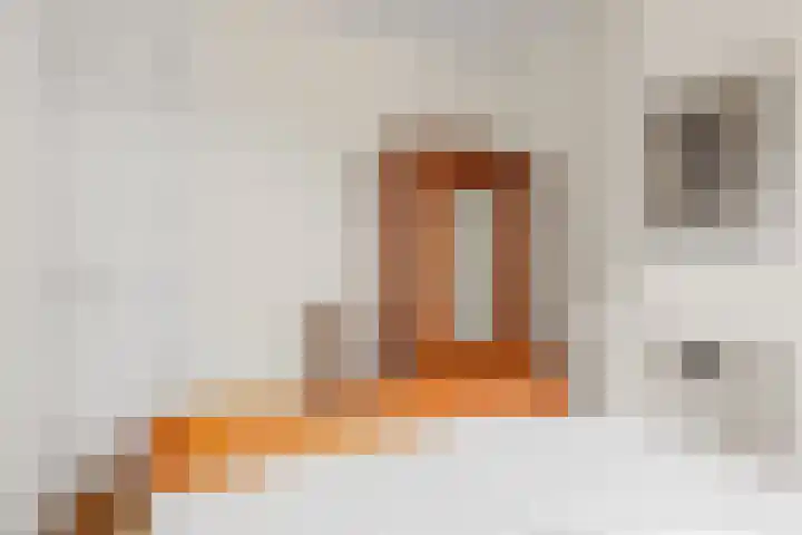 Nieuwe Koekoekstraat 66 Utrecht thumbnail 61