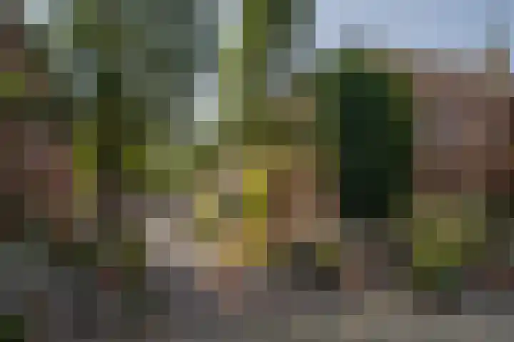 Nieuwe Koekoekstraat 66 Utrecht thumbnail 65
