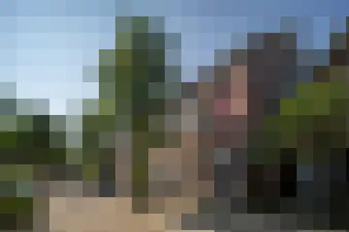 Nieuwe Koekoekstraat 66 Utrecht thumbnail 67
