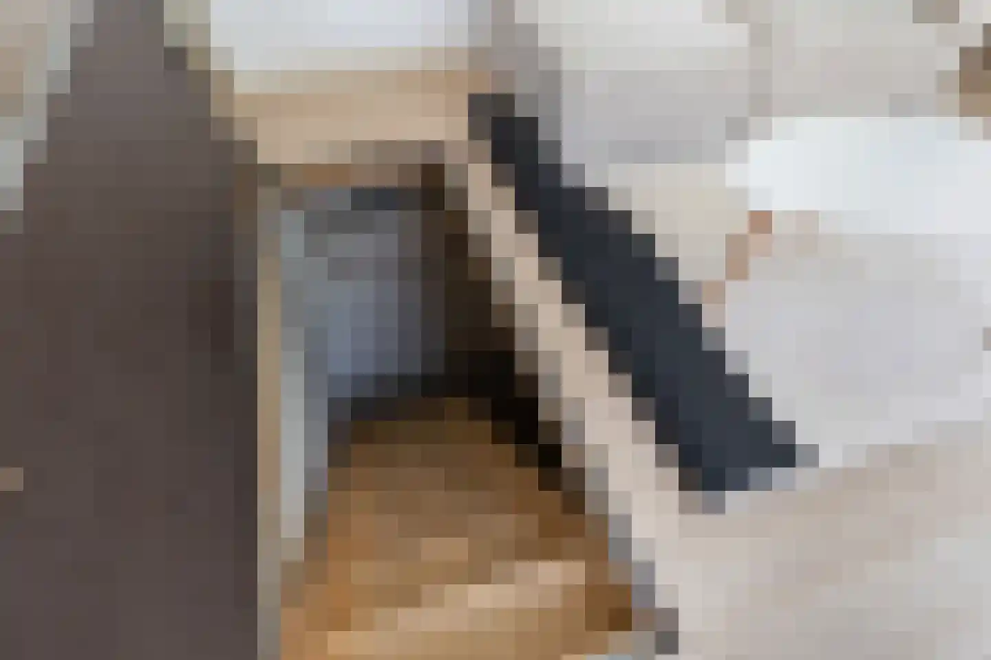 Nieuwe Koekoekstraat 7 Utrecht thumbnail 24