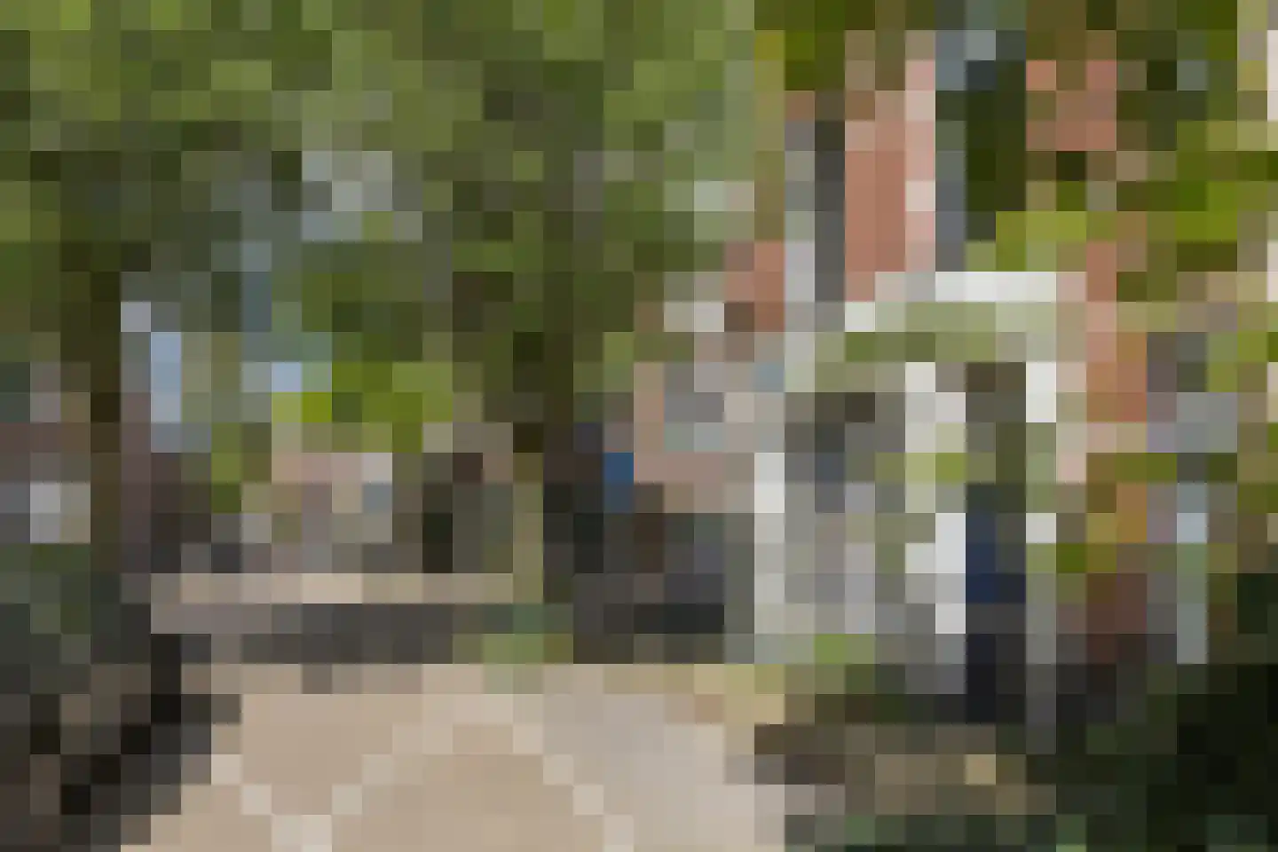 Nieuwe Koekoekstraat 7 Utrecht thumbnail 26