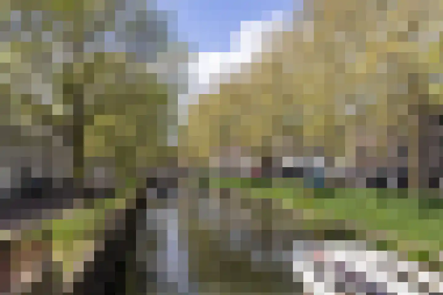Nieuwe Koekoekstraat 7 Utrecht thumbnail 30