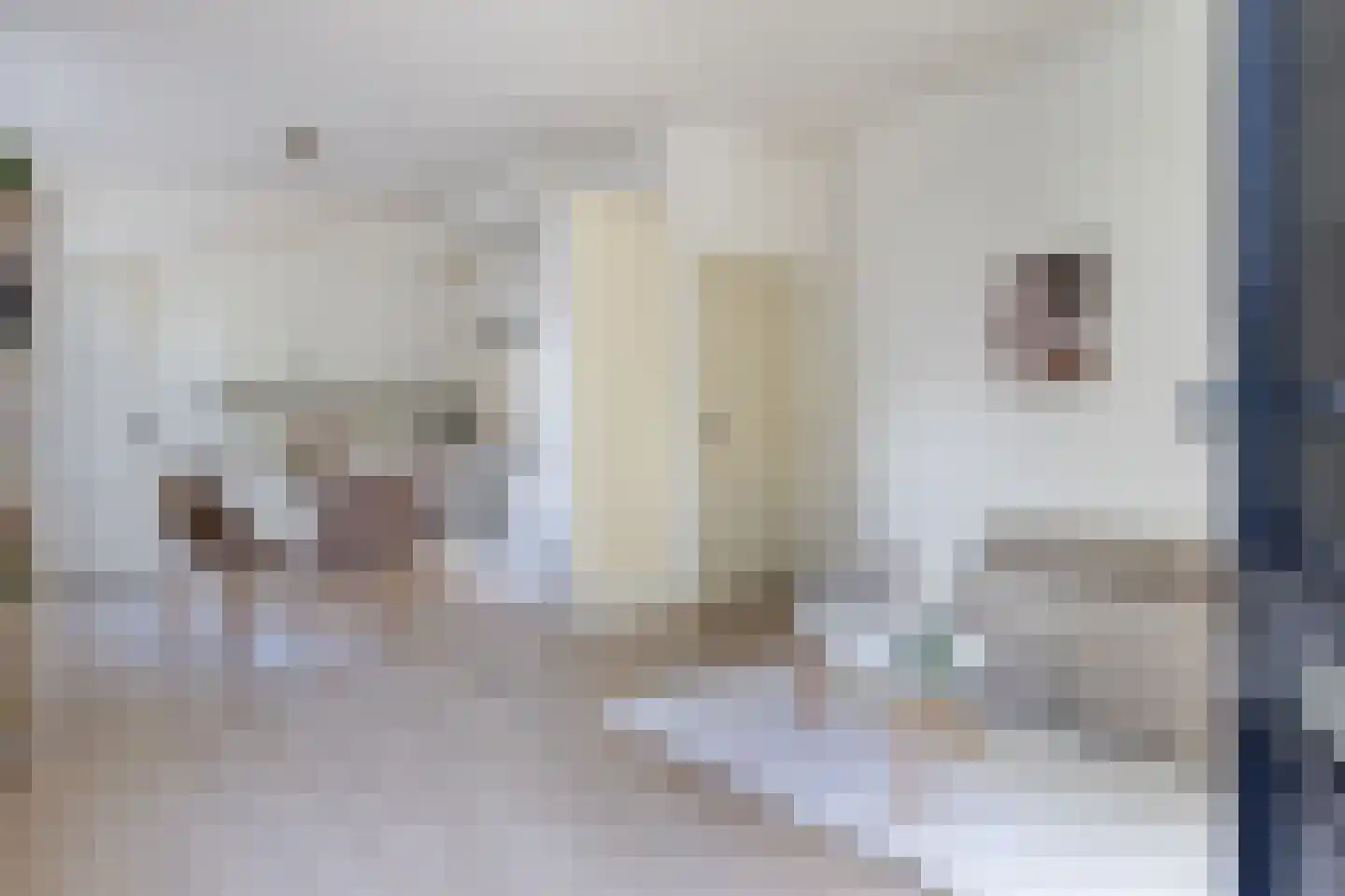 Nieuwe Koekoekstraat 7 Utrecht thumbnail 4