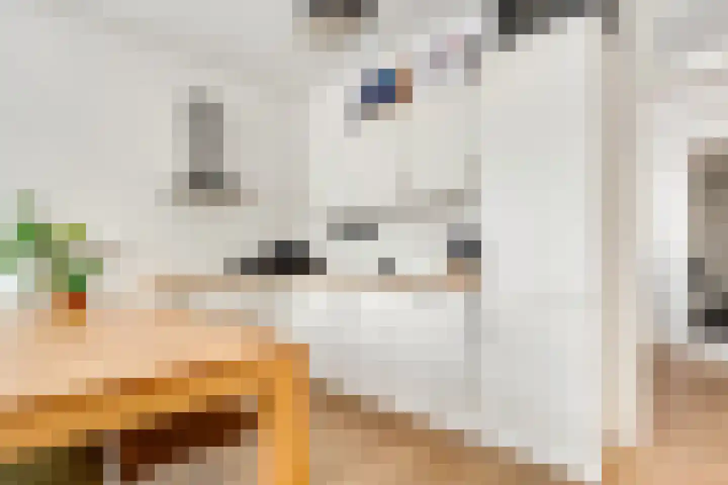 Nieuwe Koekoekstraat 71 Utrecht thumbnail 17