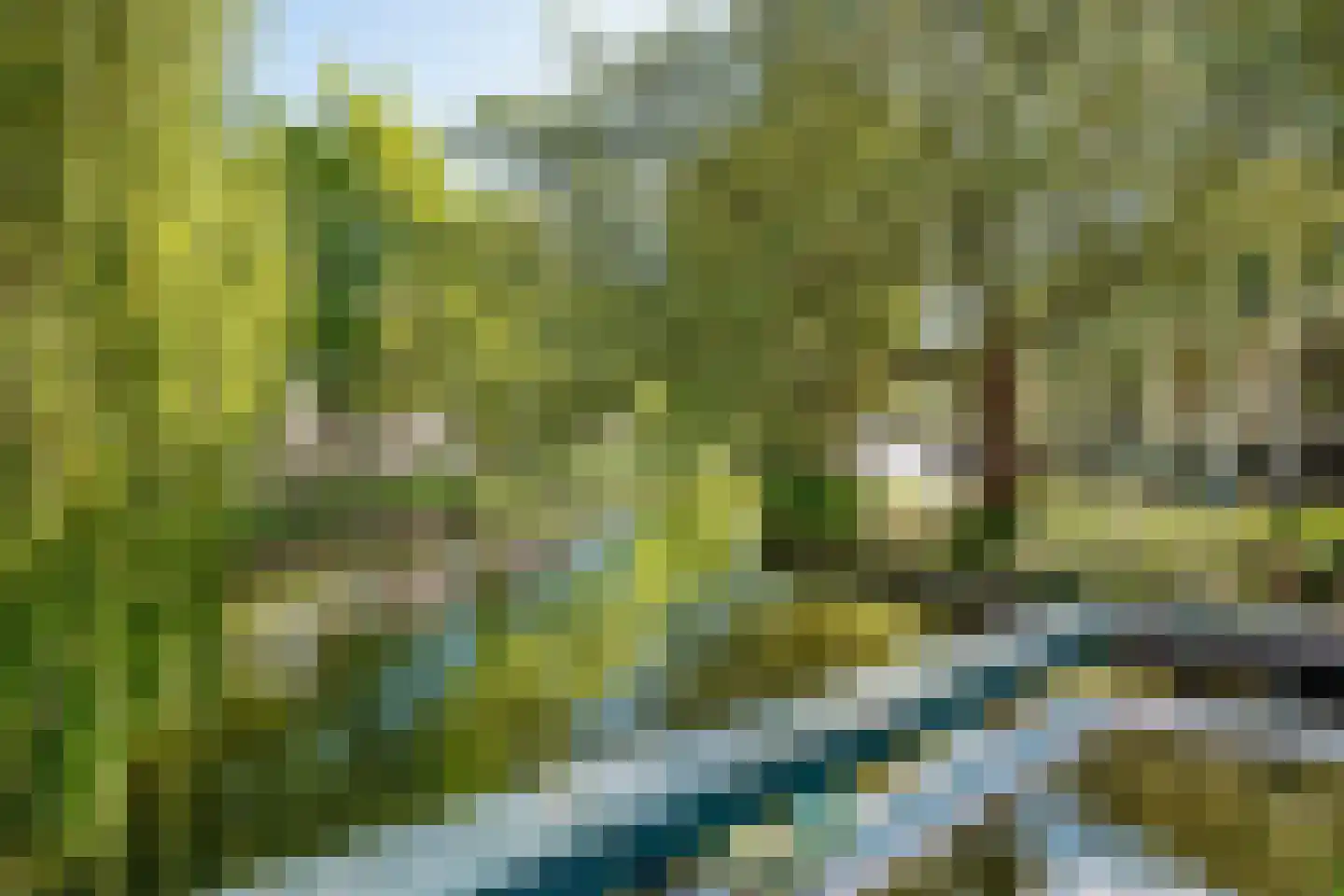 Nieuwe Koekoekstraat 71 Utrecht thumbnail 25