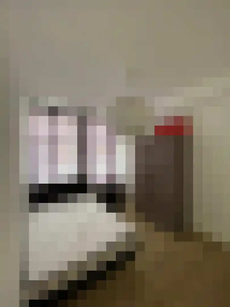 Nieuwe Koekoekstraat 71 Utrecht thumbnail 9