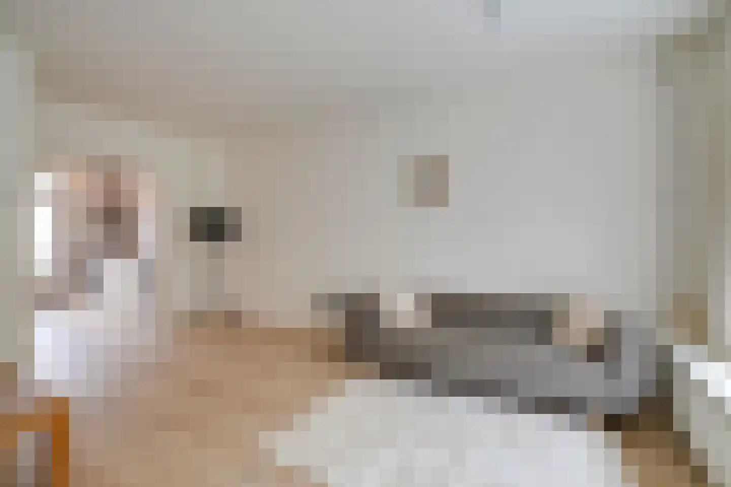 Nieuwe Koekoekstraat 8 Utrecht thumbnail 17
