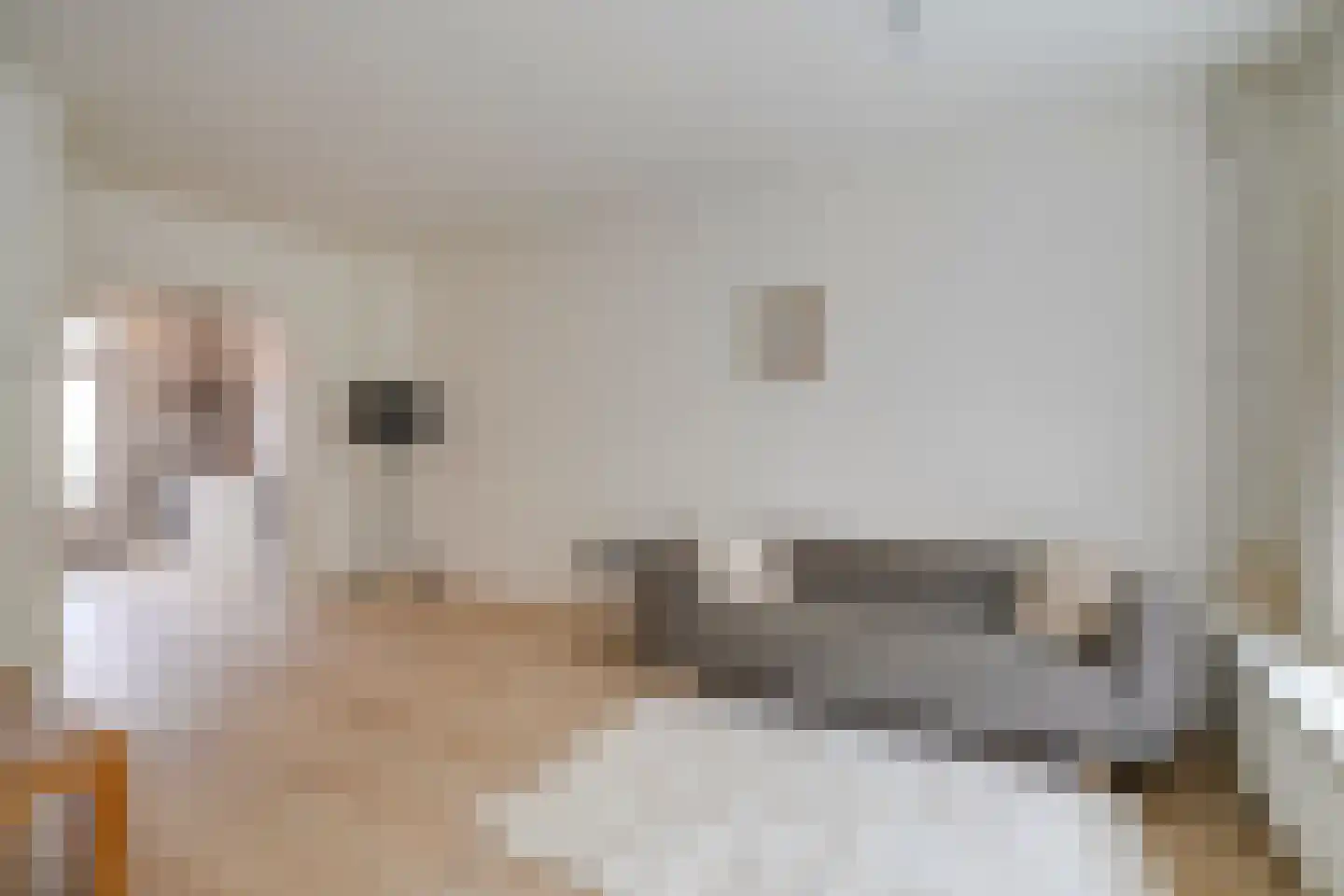 Nieuwe Koekoekstraat 8 Utrecht thumbnail 17
