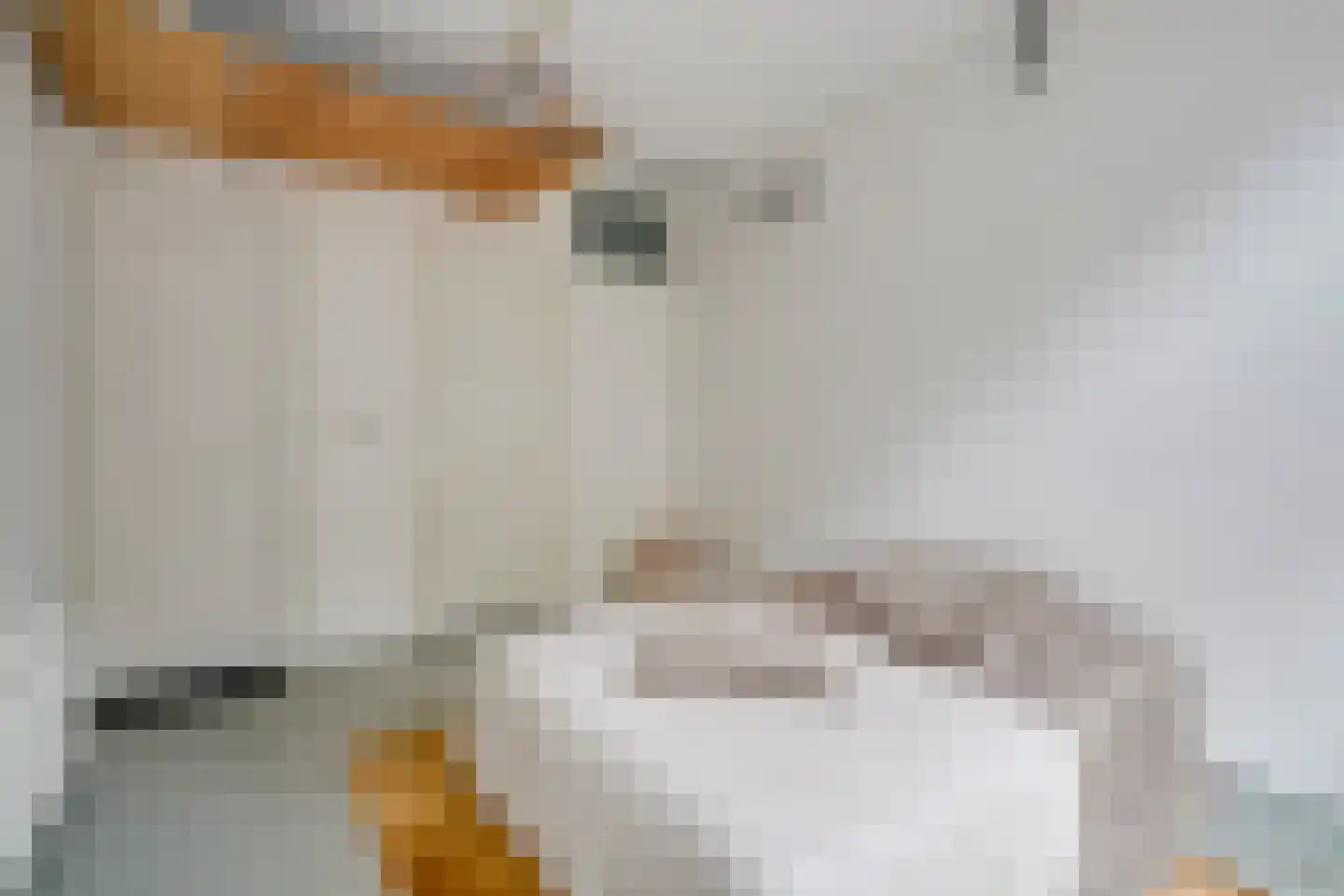 Nieuwe Koekoekstraat 8 Utrecht thumbnail 5