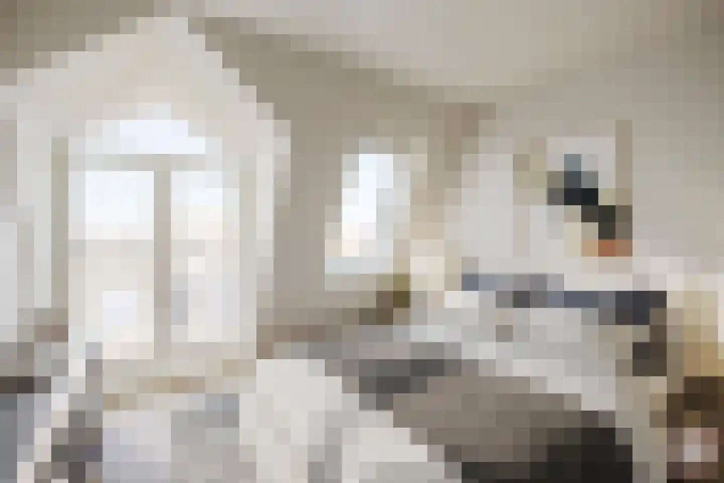 Nieuwe Koekoekstraat 87 A Utrecht thumbnail 4