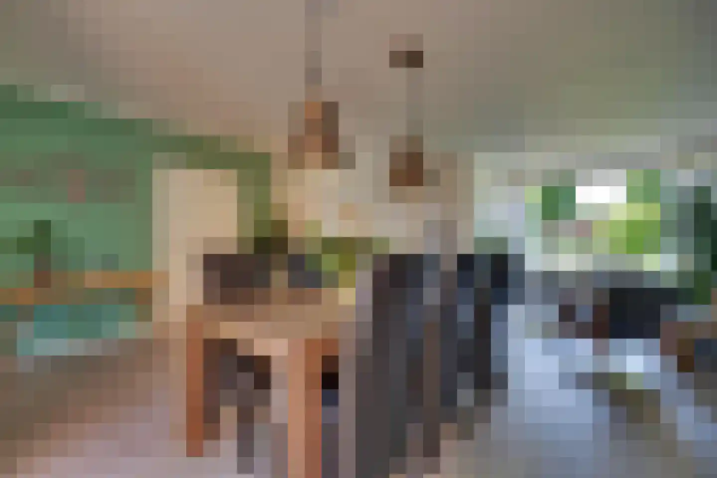 Nieuwe Komstraat 24 Lobith thumbnail 12