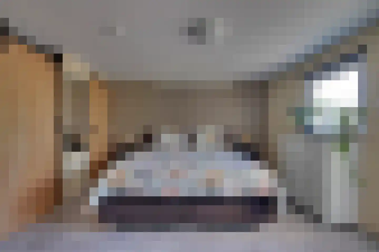 Nieuwe Komstraat 24 Lobith thumbnail 18