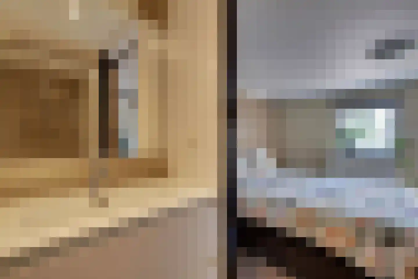 Nieuwe Komstraat 24 Lobith thumbnail 20