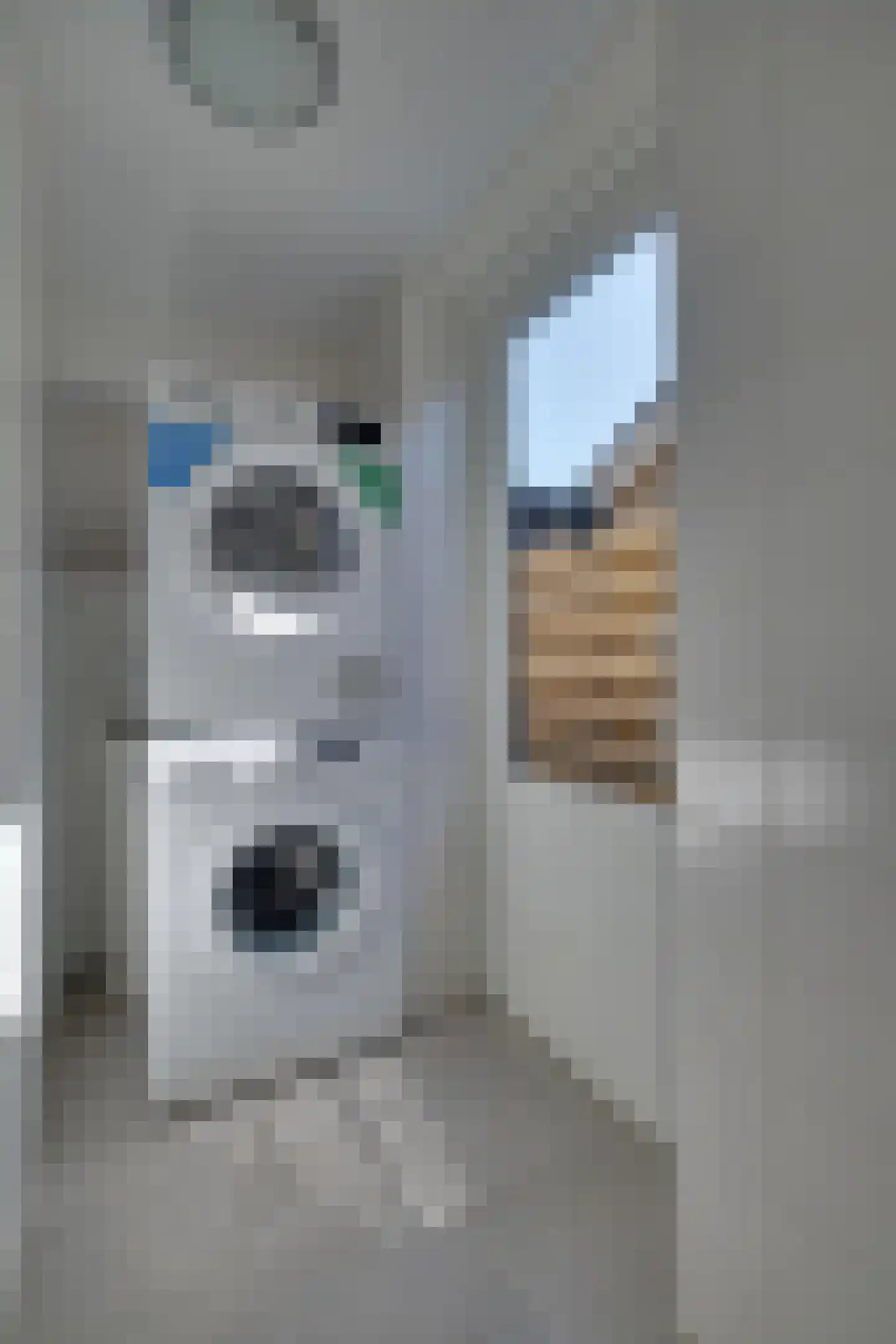 Nieuwe Komstraat 24 Lobith thumbnail 21