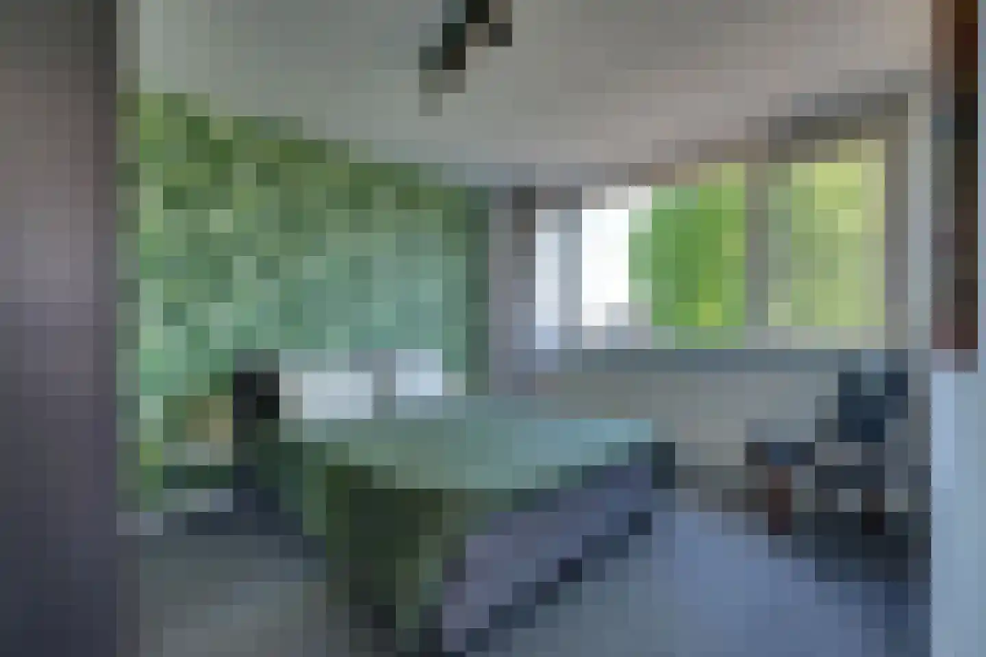 Nieuwe Komstraat 24 Lobith thumbnail 25