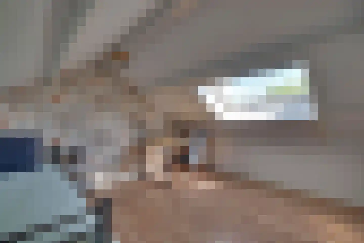 Nieuwe Komstraat 24 Lobith thumbnail 30