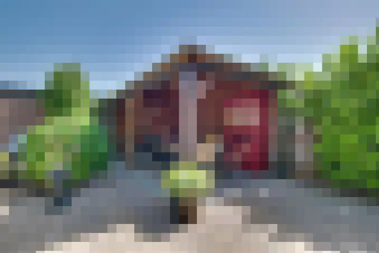 Nieuwe Komstraat 24 Lobith thumbnail 32