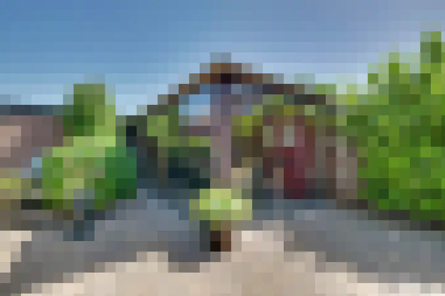 Nieuwe Komstraat 24 Lobith thumbnail 33