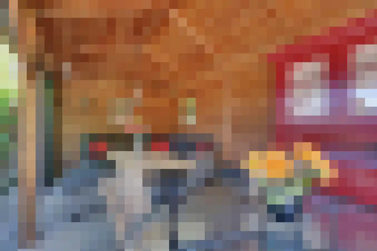 Nieuwe Komstraat 24 Lobith thumbnail 34