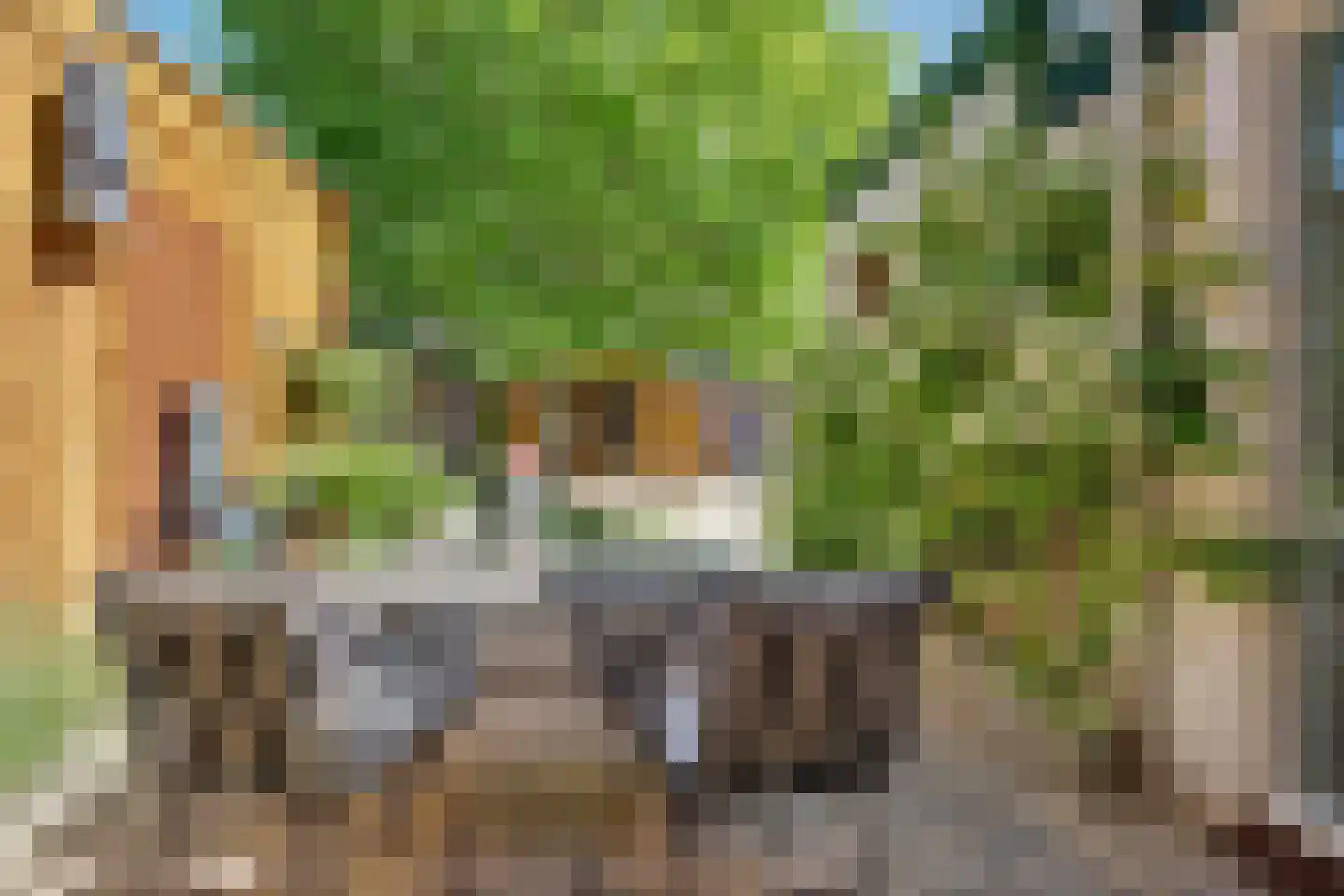 Nieuwe Komstraat 24 Lobith thumbnail 35