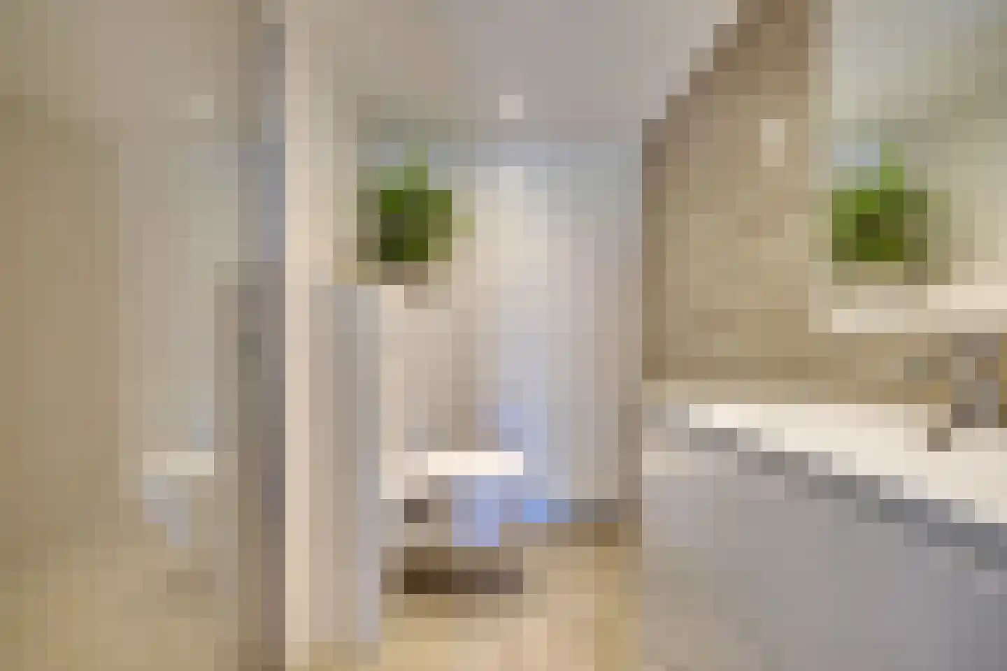 Nieuwe Komstraat 24 Lobith thumbnail 4