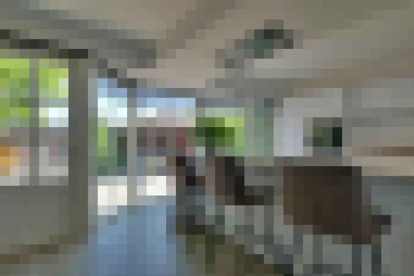 Nieuwe Komstraat 24 Lobith thumbnail 5