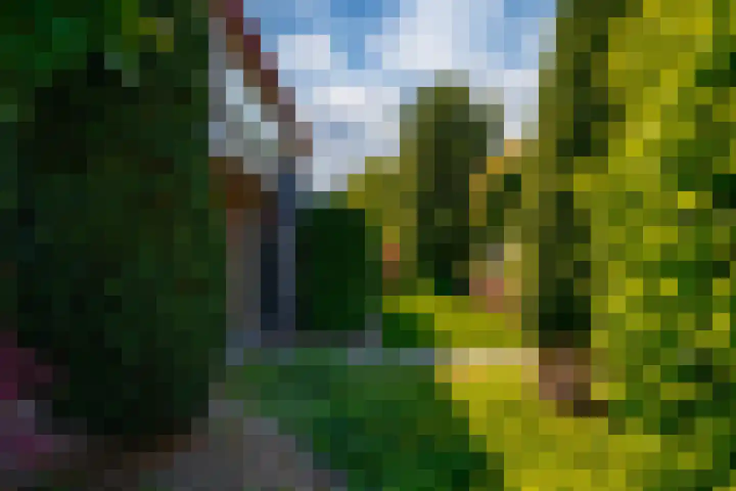 Nieuwe Komstraat 37 Lobith thumbnail 11
