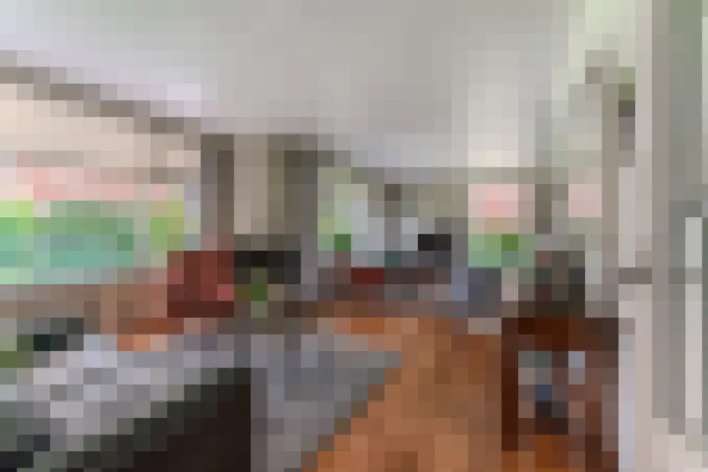 Nieuwe Komstraat 37 Lobith thumbnail 14