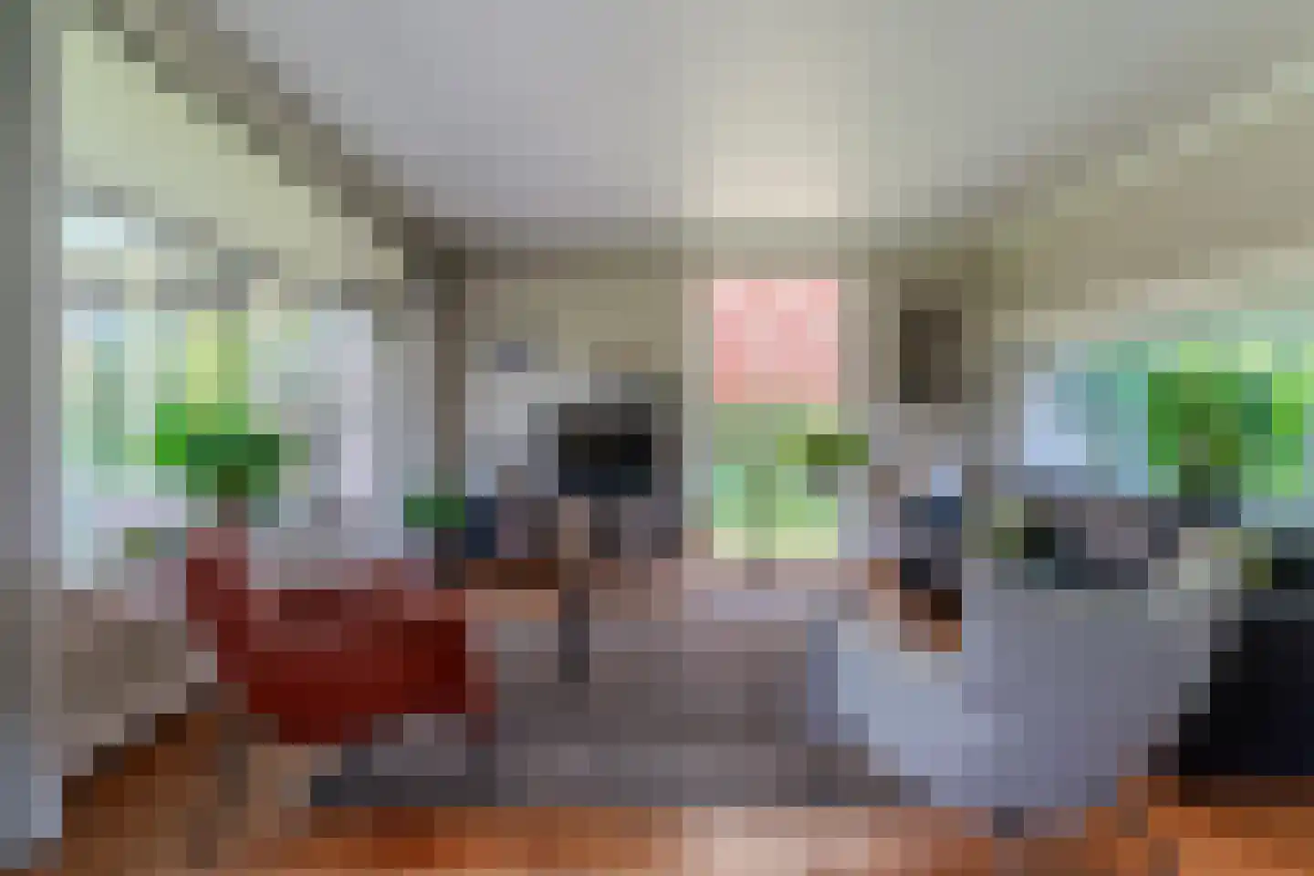 Nieuwe Komstraat 37 Lobith thumbnail 18